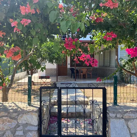 Villa Merkez Mini Datca